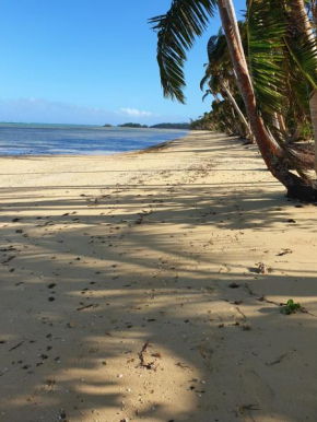 Nabuco Estate Bure Rentals